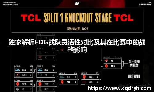 独家解析EDG战队灵活性对比及其在比赛中的战略影响