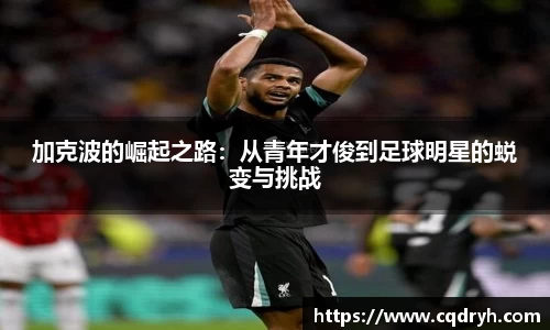 k1体育app下载