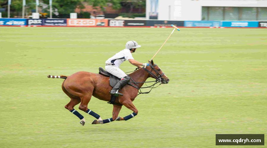 汗水与梦想，共创辉煌！